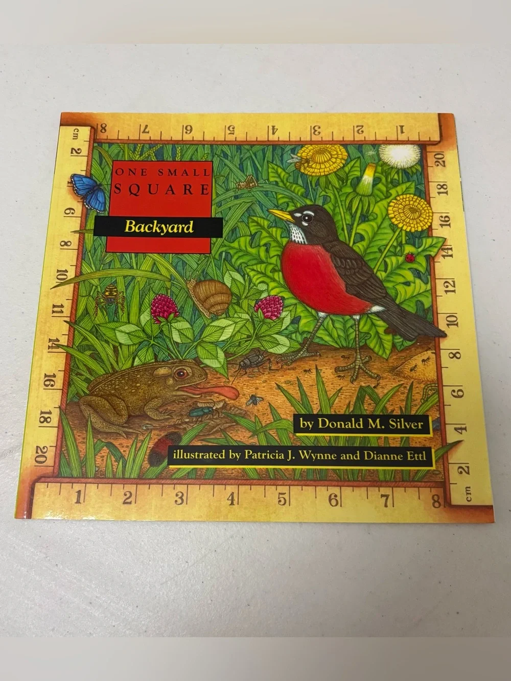 Backyard One Small Square By Donald M. Silver 1993